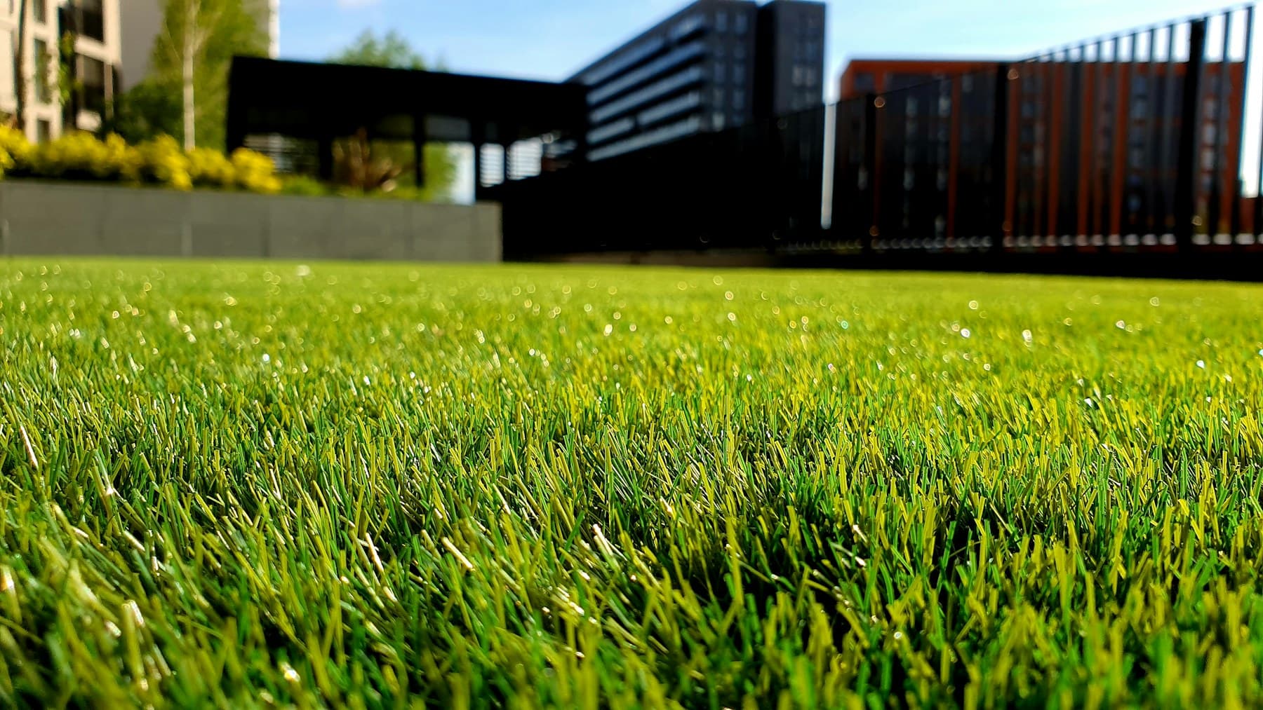 Shade-solutions provider case study image